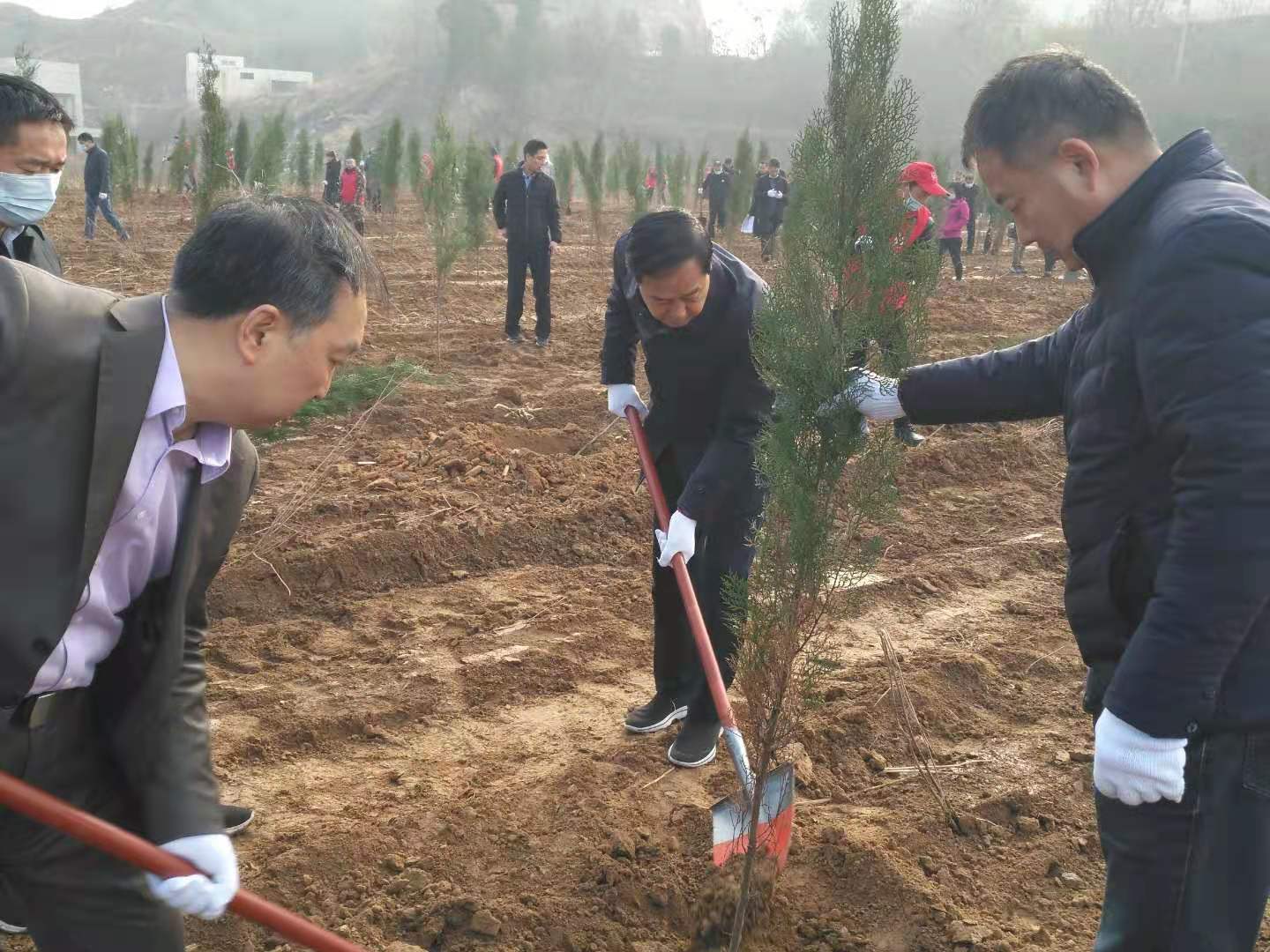 微信图片_202012071105401.jpg
