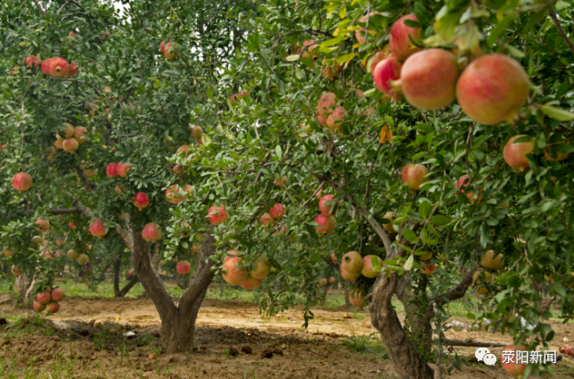 截图_2023-09-25_10-13-49.png