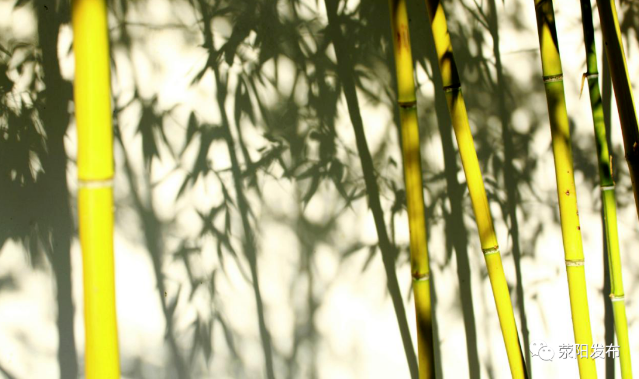 截图_2023-10-31_10-26-04.png