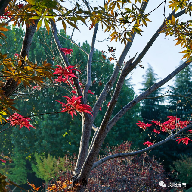 截图_2023-10-31_10-27-41.png