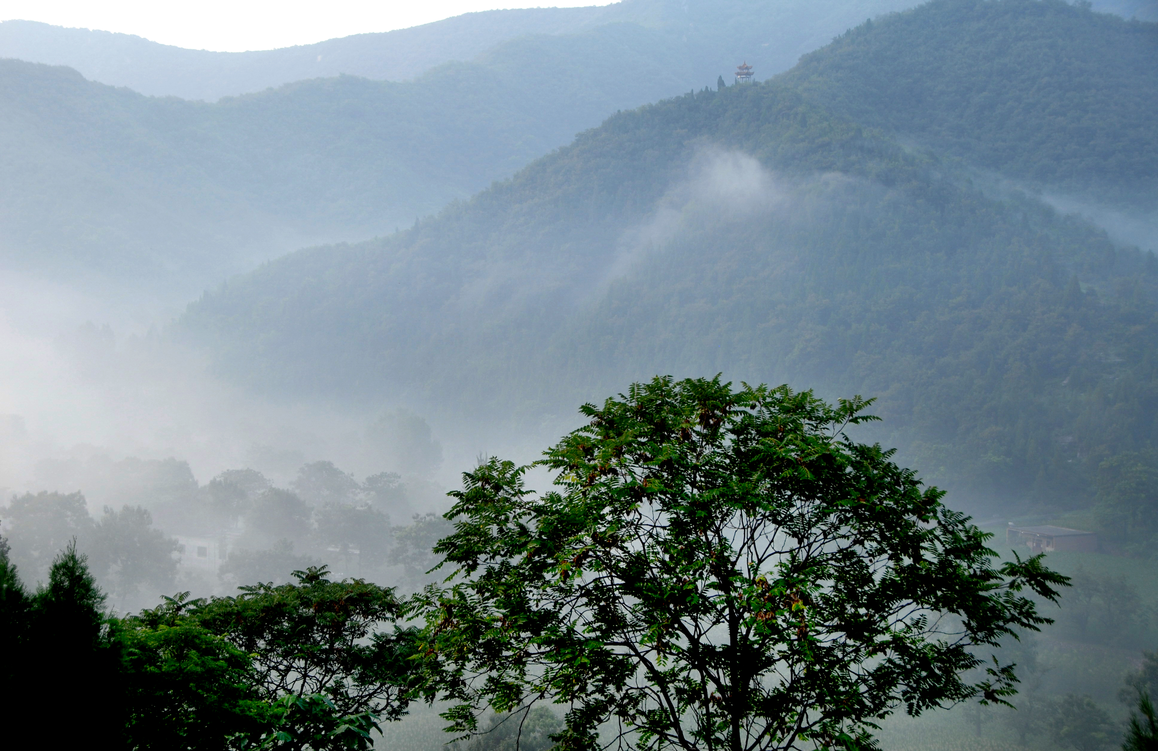 雾起小山村.jpg