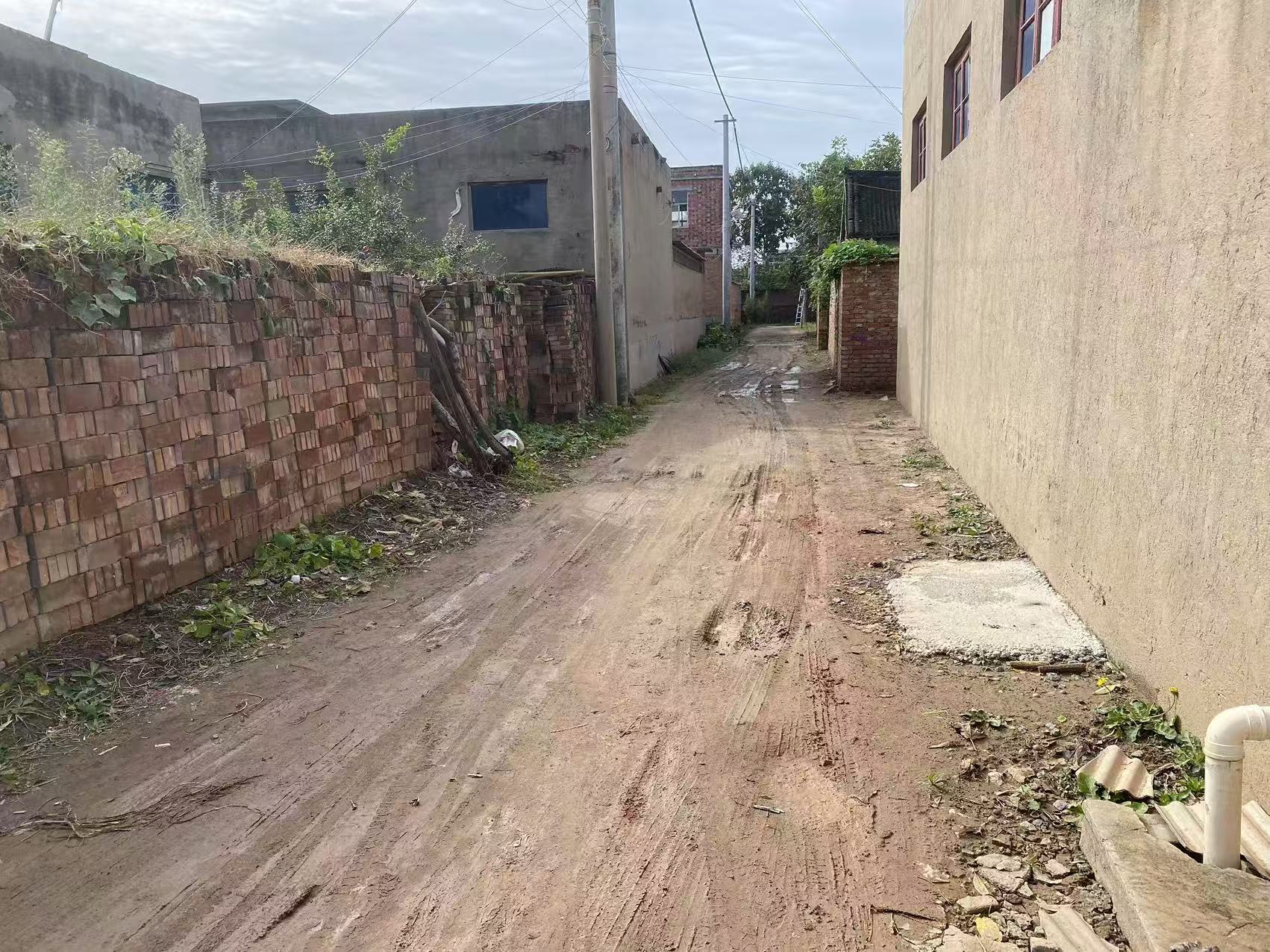 铺路2.jpg